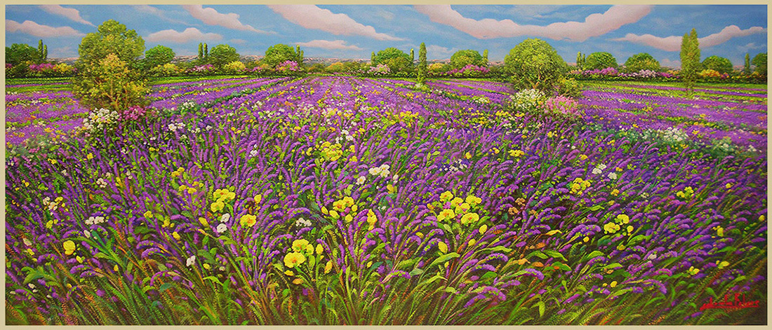 lavanda