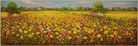 Campagna d'estate