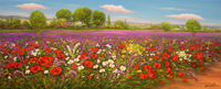 Paesaggio