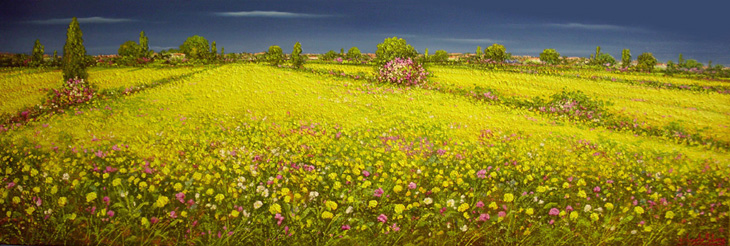 campagna d'estate