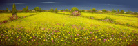 Campagna d'estate