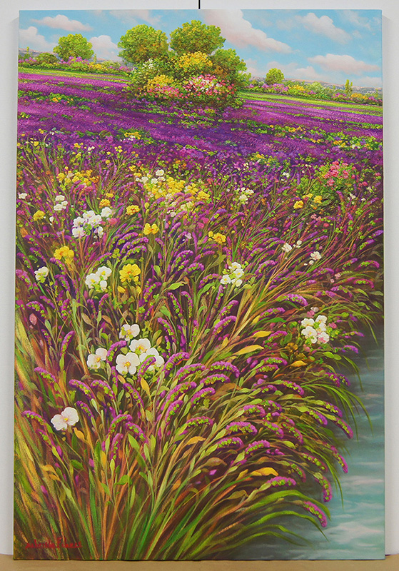 Campo di lavanda