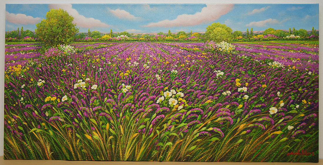 Campo di lavanda