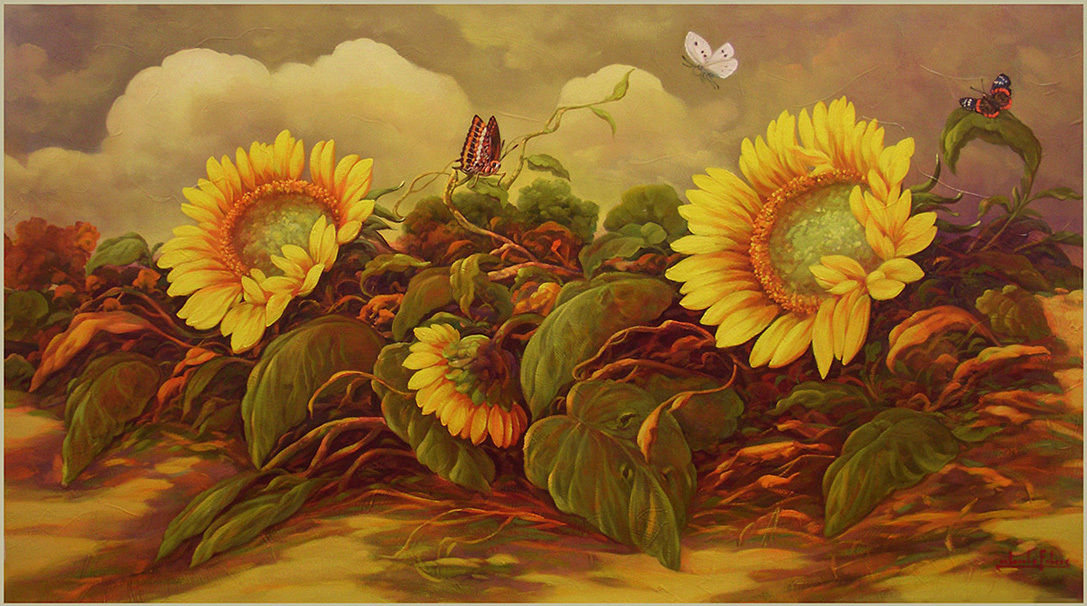 Girasoli