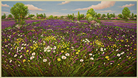 Campo di lavanda