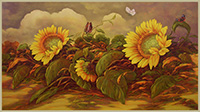 Girasoli