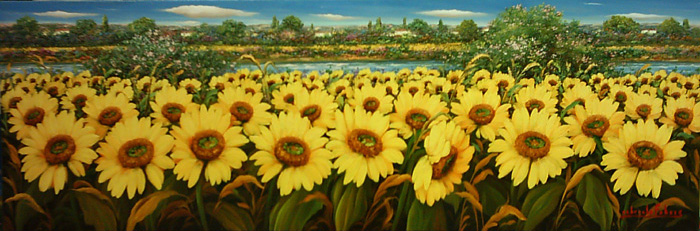 Girasoli