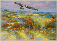 Il falco