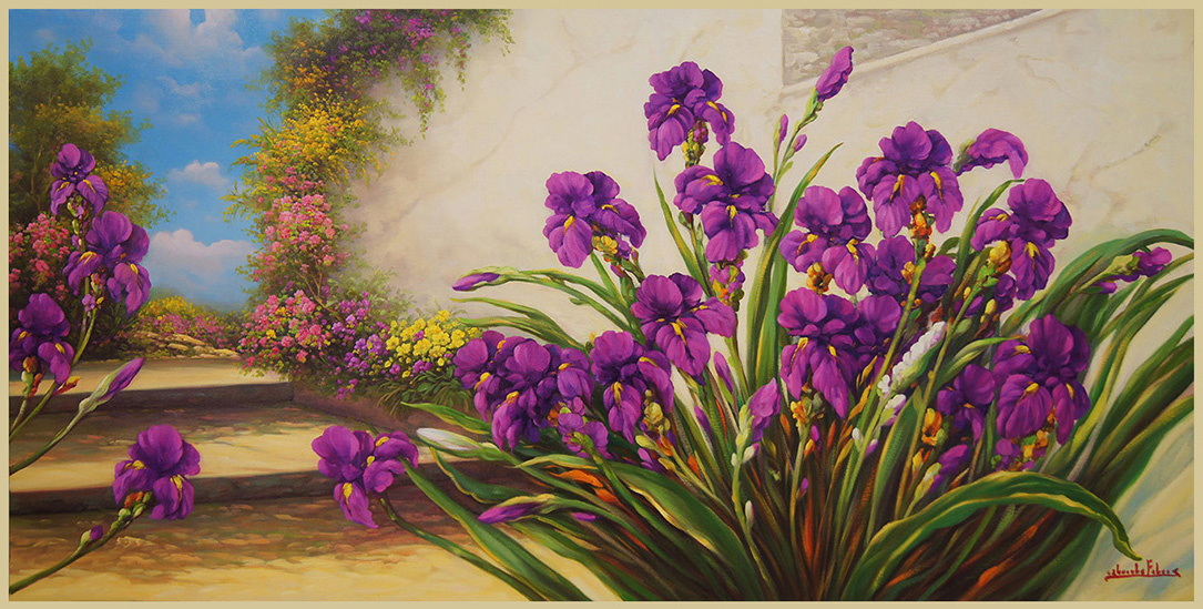 Iris
