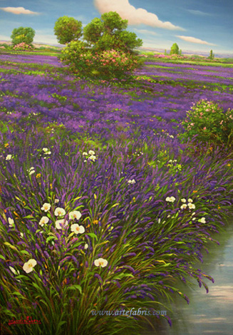Campo di lavanda